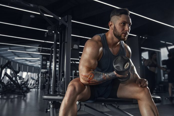 Bicep And Tricep Workout Bicep And Tricep Workout