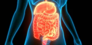 Simplify Your Supplement Routine with Bioma: Gut Health Made Easy