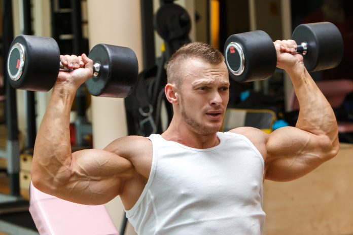 Chest Shoulders and Triceps Workout Chest Shoulders and Triceps Workout