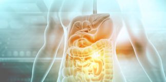 Discovering the Secrets of Bioma: All-in-One Gut Health Solution