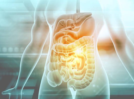 Discovering the Secrets of Bioma: All-in-One Gut Health Solution