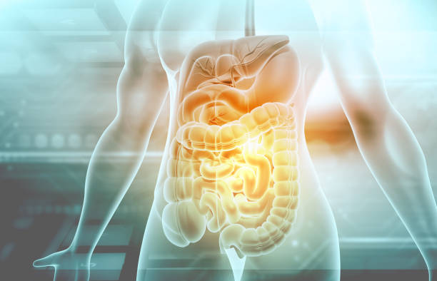 Discovering the Secrets of Bioma: All-in-One Gut Health Solution Discovering the Secrets of Bioma: All-in-One Gut Health Solution
