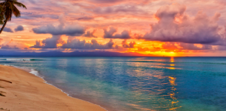 6 Ways to Stay Active at The Beach This Summer
